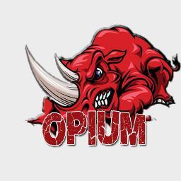 Roster OPIUM sur Xbox one composé de @MeZaaaK @CRAAYZ @Azyennn @Starkk_COD
Structure : ?
