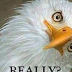 GregMPolner's profile picture. free thinker, political affiliation-independent. Gun owner, pro life & pro Israel.