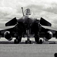 Reve_dIcare (@reve_dicare) 's Twitter Profile