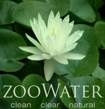 I make a water additive that prevents algae from growing in your tank. It is safe and healthy for fish and people. Sick of cleaning it? Get Zoo Water.