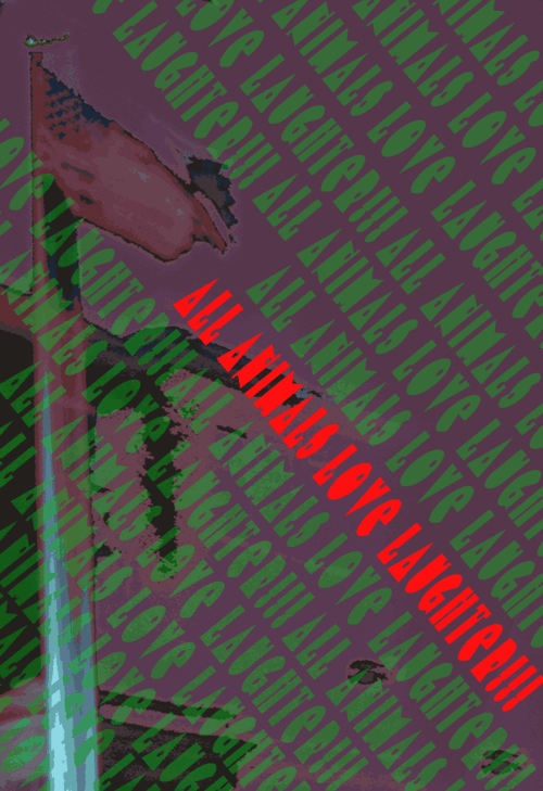 allanimalslove's profile picture. 