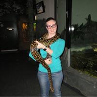 Nicolette Suttor (@nsuttor) 's Twitter Profile