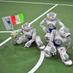 SPQR Team (@spqrteamrobocup) Twitter profile photo SPQR Team (@spqrteamrobocup) Twitter profile photo