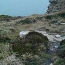 Deborah Gale - @dgalegiles - Twitter