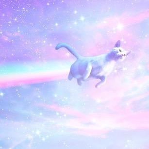 KittiesandGore's profile picture. we're actually really nice, we just really hate people