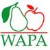 WAPA Association (@wapaassociation) Twitter profile photo WAPA Association (@wapaassociation) Twitter profile photo