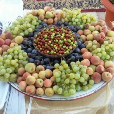 najem_sheel2's profile picture. 