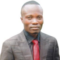 Panafricaniste et Directeur Général de l'Asbl Génération Vivace pour l'Humanité réconciliée, (GEVIHUR Asbl);
Expert en développement