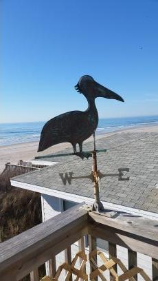 hummingalong12's profile picture. The measure of who we are is what we do with what we have. ~Vince Lombardi~