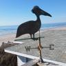 hummingalong12's profile picture. The measure of who we are is what we do with what we have. ~Vince Lombardi~