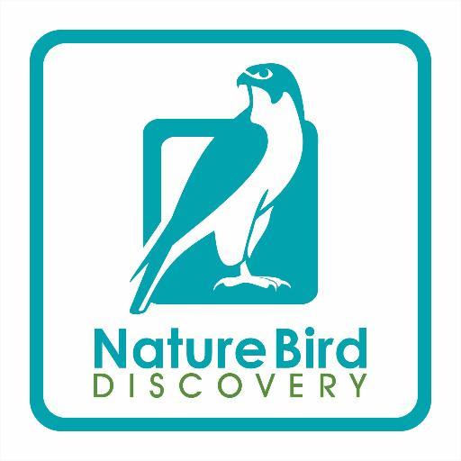 Nature Bird
