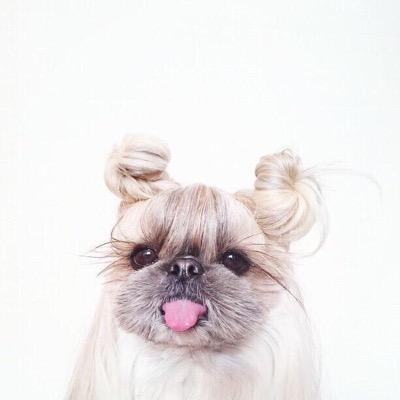 Team5yaymath's profile picture. Fun math updates here from MVHS ft. Hanna Loucks, Erica Janey, Meghan McFarling, and Scott Binder