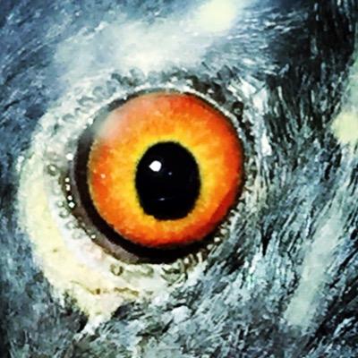 jeslin_george's profile picture. Come join me in the eye of the storm.