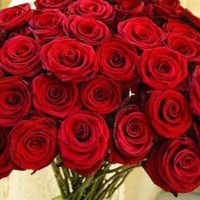 ce277e2c49c5464's profile picture. 