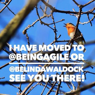 Book - Being Agile in Business - has moved - now at @beingagile or @belindawaldock - http://t.co/hdpnp916I1