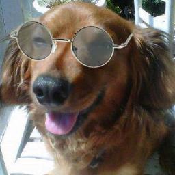 danielffranks's profile picture. Software Engineer / Internet Dweller