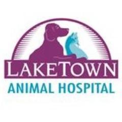 Laketown Animal Hospital is a
full-service veterinary hospital in Springfield, IL. We also offer boarding and grooming services! Call today 217-529-4211.