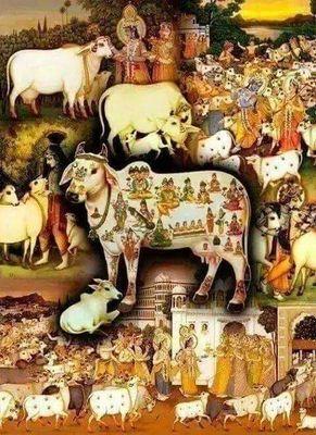 kamalgupta721's profile picture. 