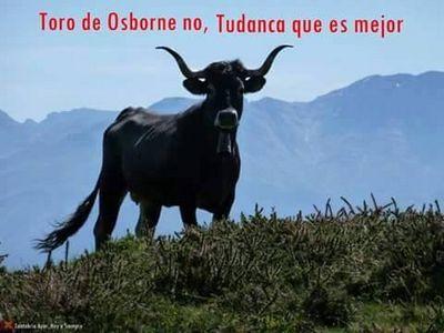 chicu74's profile picture. Entender la moto como un estilo de vida