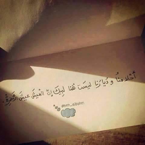 fatote891's profile picture. يوما مــا سنكـــون أول الأمــم