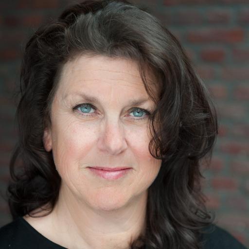 Mens, Organisatie en Leiderschapsontwikkeling, Transitie & Transformatie. Directeur / Voorzitter NVvPO en Voorzitter Stichting Blauweneuzen.