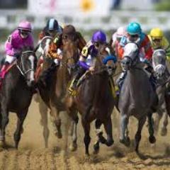 PULSOHIPISMO's profile picture. Orientación hípica gratis para los que nos sigan. No crean en estafadores y en oficinas ..