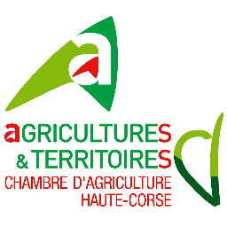 CDA2B's profile picture. 