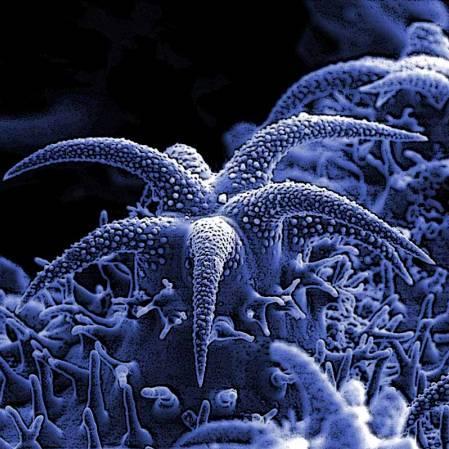 alevelbiologyuk's profile picture. http://t.co/yEi4r39gqK provides resources for AQA, OCR and Edexcel A-Level Biology. Trusted by thousands of students and teachers.