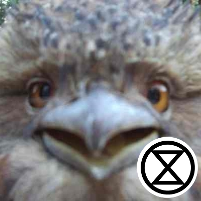 fluffduck's profile picture. Life lover