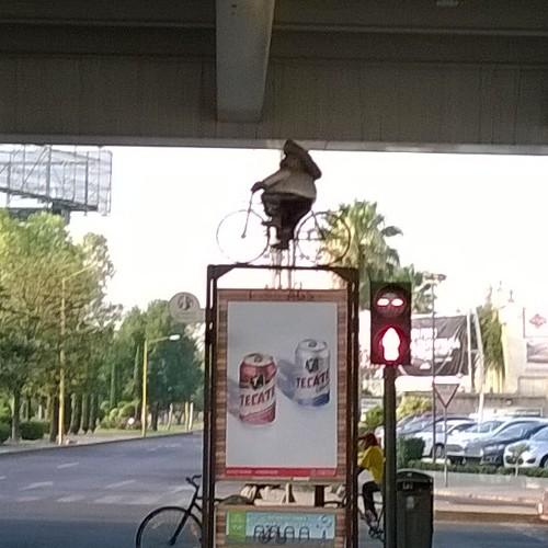 Ingeniero de profesión, ciclista de corazón y apasionado por convicción. La música me sigue a todos lados.