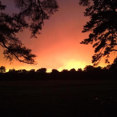 beths97's profile picture. 