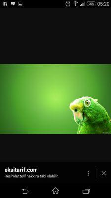 westmorefashion's profile picture. 