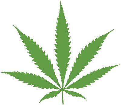 marley420Webse1's profile picture. Weedshops