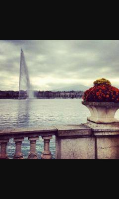 web_xv's profile picture. 