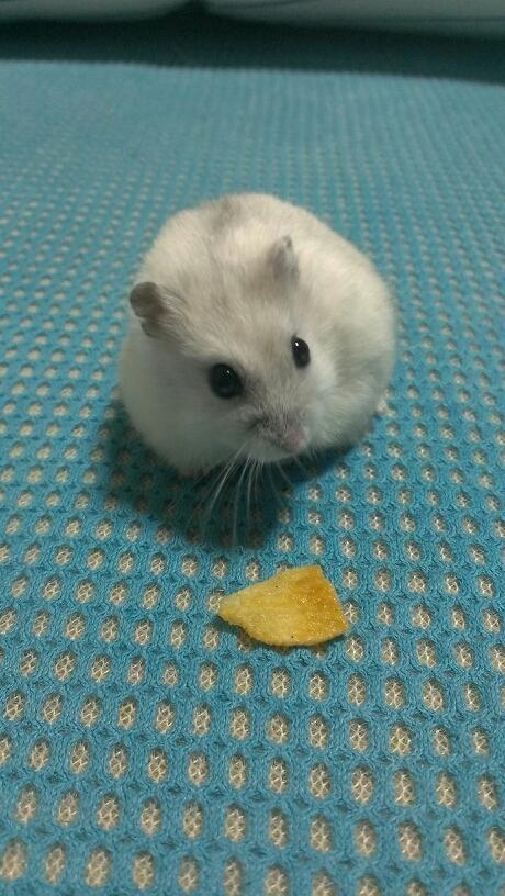 o84989995's profile picture. 