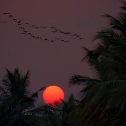 withcaveats's profile picture. 