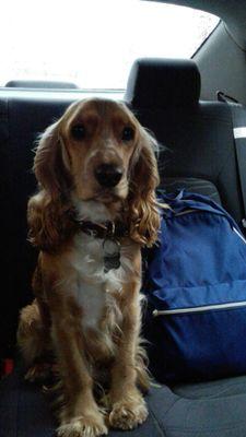 GGeoalexramos's profile picture. 