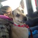 Jada patterson - @bigsmoke21 - Twitter