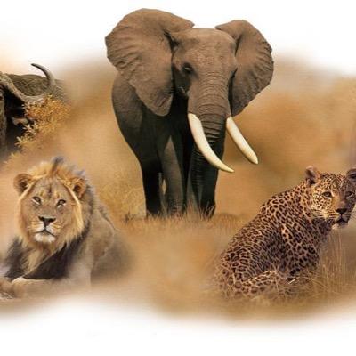 Travel Nag is a travel and tour company offering tours through out Southern Africa to a overseas target market offereing tours all year round.