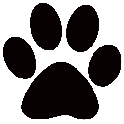 CVHS2019's profile picture. 