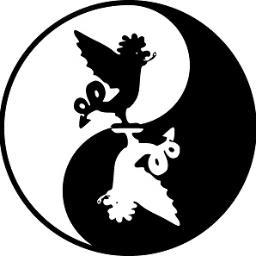 CoderdojoLauria's profile picture. alla consolle @MiminoRICCIARDI coderdojolauria@gmail.com