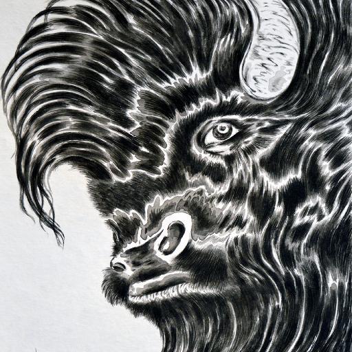 cabezilapiz's profile picture. Tlacuilo y Terrapeuta