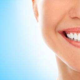 Helping you find the best orthodontists in the Tamp Bay Area