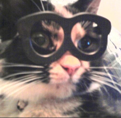 Ejmad's profile picture. If everyone will just stay out of my way, nobody will get hurt.