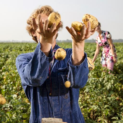 Arwin is #aardappelboer in de Haarlemmermeer, vlakbij Amsterdam en Haarlem. Zie https://t.co/1nJ6zhvgG8. Hiernaast voorzitter van Royal Cosun.