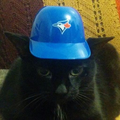 Tigger7's profile picture. Loves the Northern Pikes, cats, & the Blue Jays (through thick and thin forever!).  ⚾ ALEK MANOAH ⚾ GEORGE SPRINGER ⚾ DAVIS SCHNEIDER ⚾ She/her