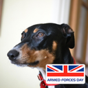 Neil Pollock - @NeilPollock24 - Twitter