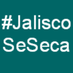 #JaliscoSeSeca (@jaliscoseseca) Twitter profile photo #JaliscoSeSeca (@jaliscoseseca) Twitter profile photo