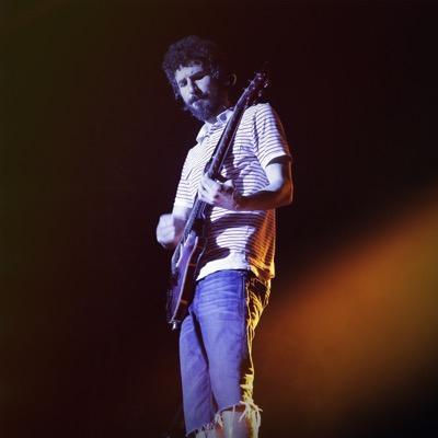 Brad Delson is the guitarist of Grammy-Award winning, multi-platinum rock band, Linkin Park.