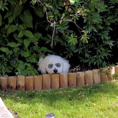 DeniseT62176323's profile picture. 